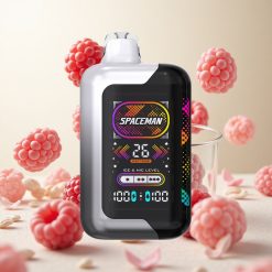 SMOK SPACEMAN 40000 Puffs Hallon Björnbär Sweden vape wholesale